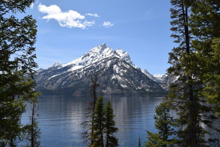 Top Tips for a Family Trip to Yellowstone and Grand Tetons