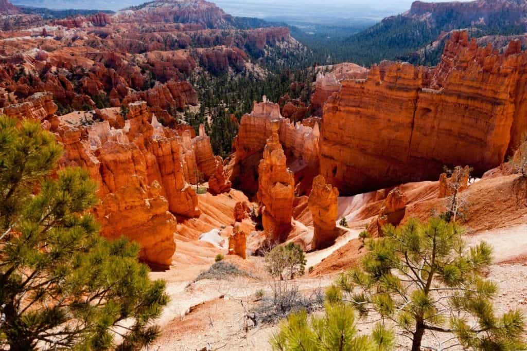 Bryce Canyon panoramic view