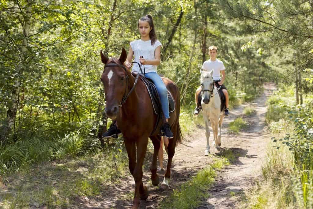 a teen girl and boy trail riding on horses