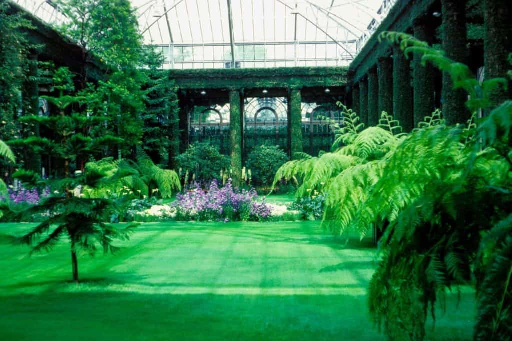 an indoor nature conservatory