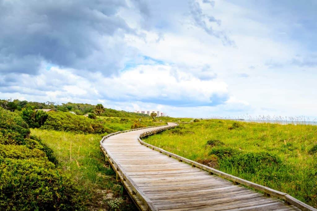 Wooden walkway at Myrtle Beach State Park in South Carolina. Walkway begins in bottom right corner and moves toward the center, then curves back to the right before it disappears on the horizon. Bright green plants and bushes and grasses are on either side and the ocean is just visible on the right. The sky is blue with lots of puffy white clouds.