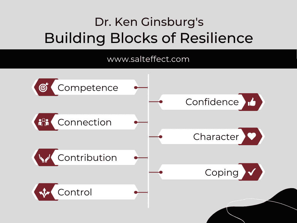 Dr. Ken Ginsburg's Building Blocks of Resilience. Image shows 7 points like flags on a center vertical line. One word is on each flag along with a white icon on a burgundy arrow. Words from top to bottom: Competence, Confidence, Connection, Character, Contribution, Coping, Control.
