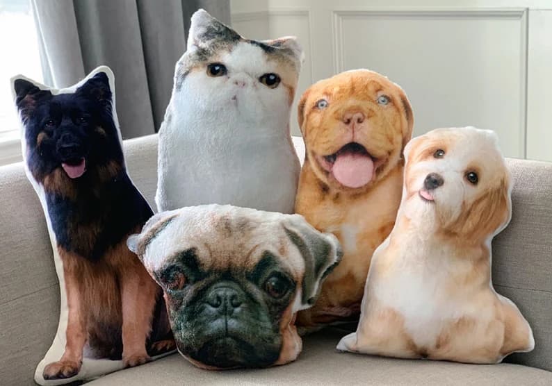 3D Pet Pillow