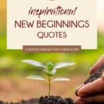 Pinterest pin titled "53 inspirational new beginnings quotes: a positive mindset for a fresh start." Image is a close up of a small green plan growing out of dark soil with hands cupping soil to the right side. The blurred background is shades of brown, tan and green. In white font at the bottom is www.salteffect.com