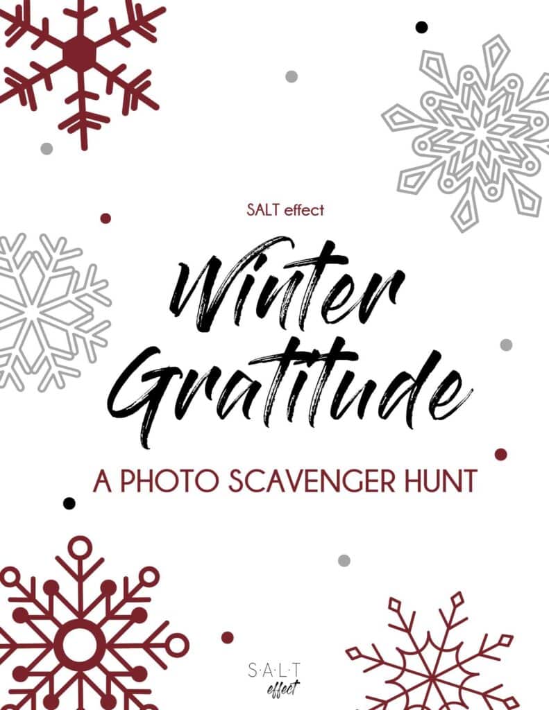 Front cover of a free download. White background with burgundy and gray snowflakes. Title is "Winter Gratitude: A Photo Scavenger Hunt" from SALT effect.