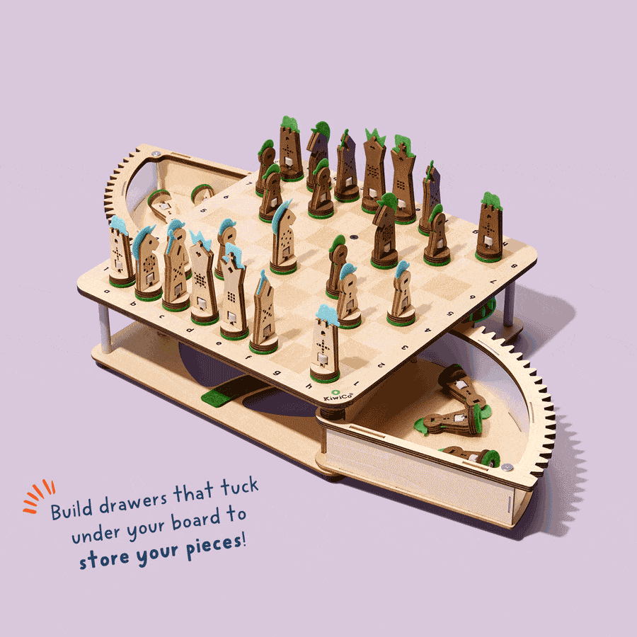 Build & Play Chess Set